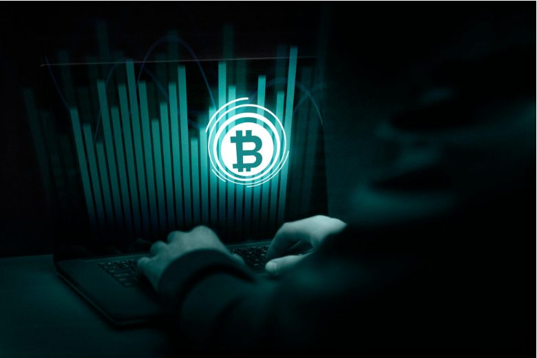 Crypto Wallets Explained